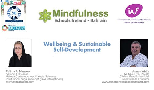Wellbeing & Sustainable Self-Development training